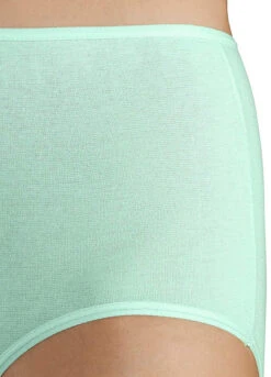 Petite Fleur Pack Of 5 High Waist Briefs -Daily Bra Store Petite Fleur Pack of 5 High Waist Briefs391323FRSP W03